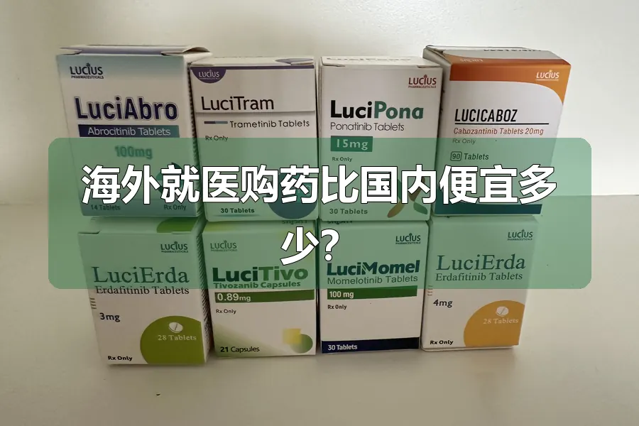 海外就医购药比国内便宜多少？